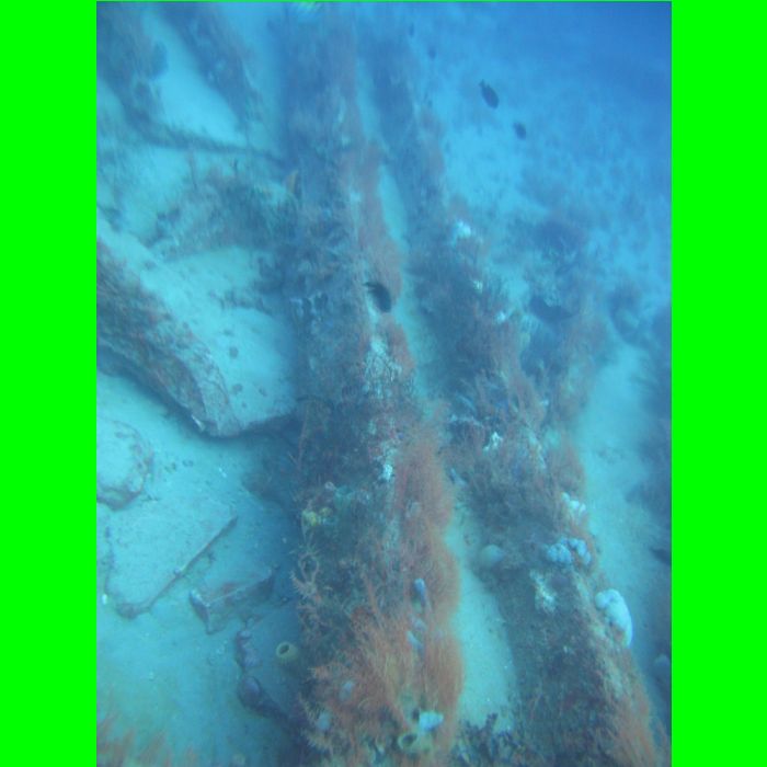Dive WP Wrecks 25-Oct-09_396.JPG